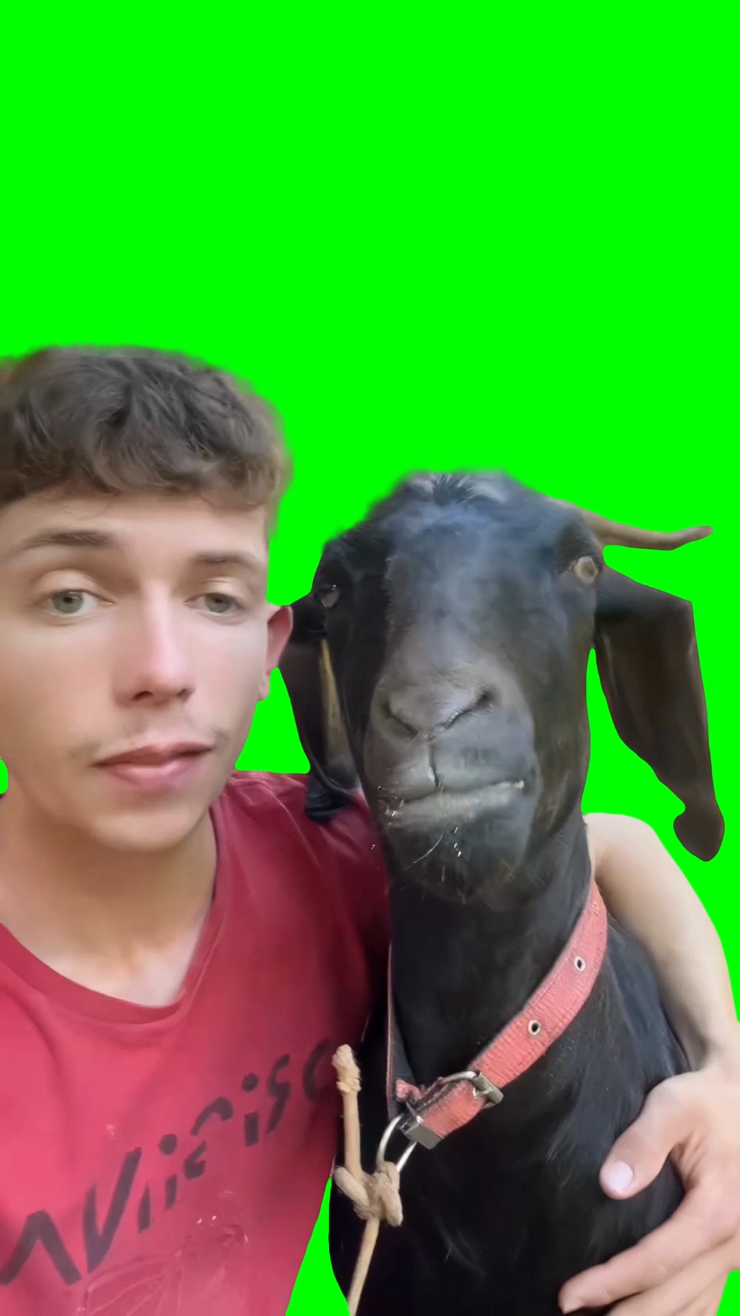 Man singing and hugging goat (Green Screen)