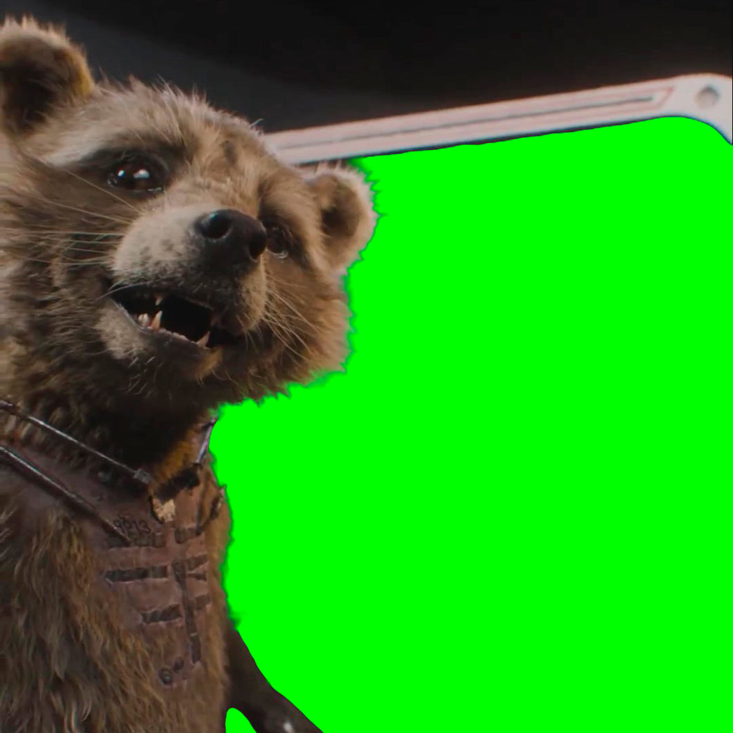 Rocket Raccoon drawing a portrait (Green Screen)