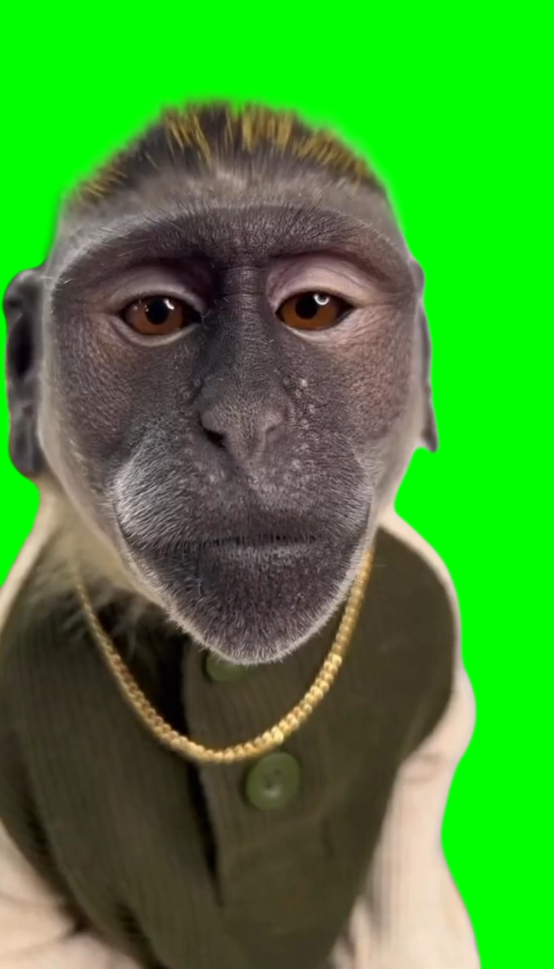 Dripped out Monkey (Green Screen)