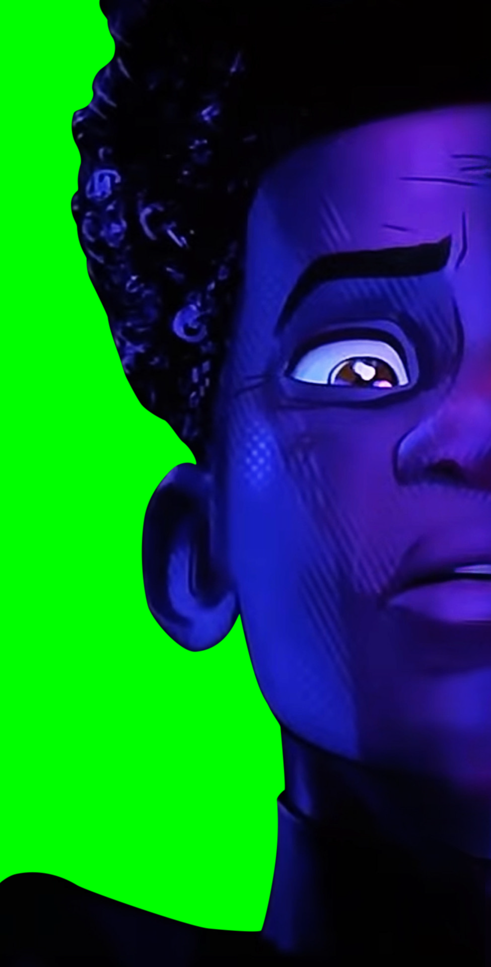 Spider-Man Across the Spider-Verse Slide (Green Screen)
