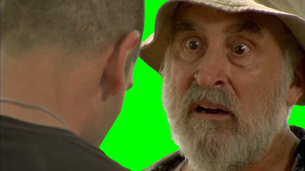 I know what kind of man you are! - The Walking Dead meme (Green Screen)