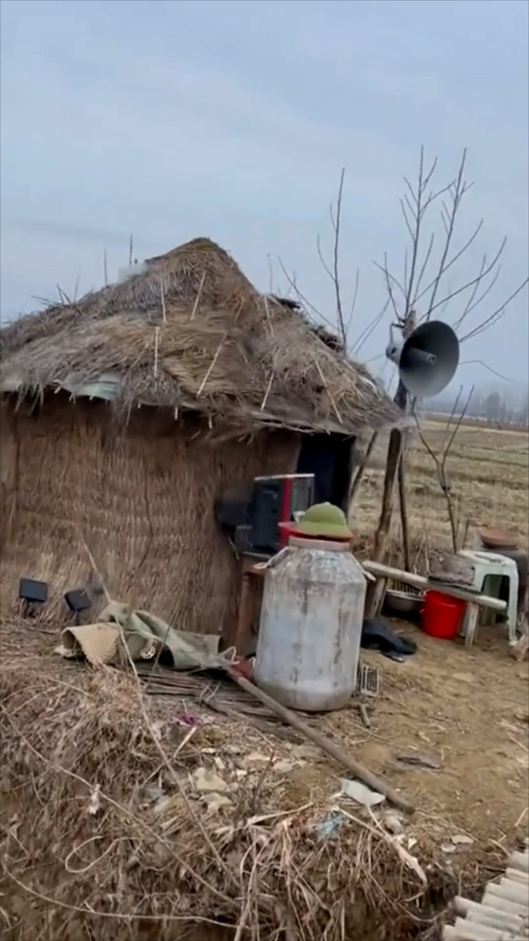 Donkey Dancing Inside Hut (Green Screen)
